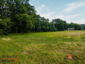 Prodej zahrady, Týniště nad Orlicí - Rašovice, 1102 m2