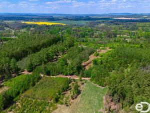 Prodej lesa, Jetětice, 79500 m2