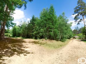 Prodej lesa, Jetětice, 79500 m2
