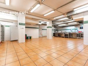 Pronájem restaurace, Teplice, U Nových lázní, 541 m2