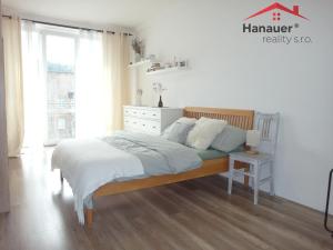 Pronájem bytu 2+kk, Ústí nad Labem - Střekov, Železničářská, 69 m2