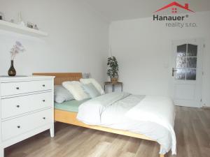 Pronájem bytu 2+kk, Ústí nad Labem - Střekov, Železničářská, 69 m2