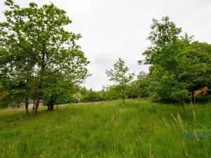 Prodej zahrady, Praha - Dolní Chabry, 10599 m2