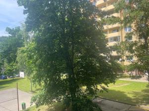 Pronájem bytu 1+1, Hodonín, Lesní, 33 m2
