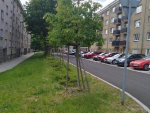 Prodej bytu 2+1, Meziboří, Okružní, 62 m2