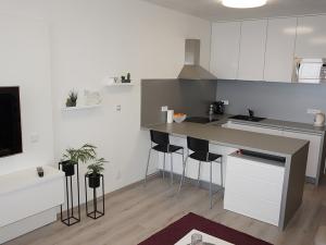 Pronájem bytu 1+kk, Brno, Řípská, 40 m2