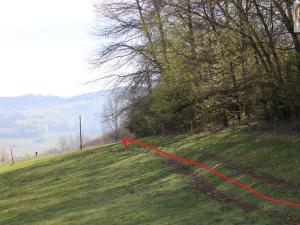 Prodej zahrady, Kdyně - Prapořiště, 3290 m2