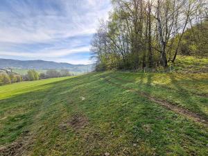 Prodej zahrady, Kdyně - Prapořiště, 3290 m2