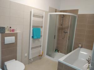 Pronájem bytu 2+kk, Jihlava, Věžní, 80 m2