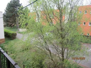 Dražba bytu 3+1, Velké Přílepy, U Rybníčku, 75 m2
