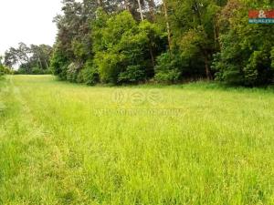 Prodej pozemku pro bydlení, Vlašim, 10664 m2