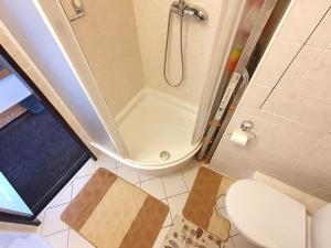 Pronájem bytu 1+1, Praha, Bělinského, 36 m2