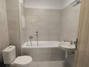 Pronájem bytu 2+kk, Městec Králové, Malátova, 47 m2