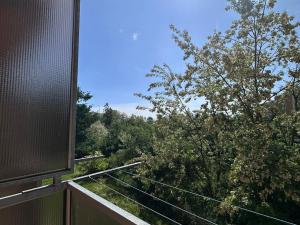 Pronájem bytu 2+1, Třebíč - Nové Dvory, Fr. Hrubína, 49 m2