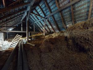 Prodej zemědělské usedlosti, Mšené-lázně - Ječovice, 300 m2