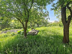 Prodej rodinného domu, Plánice, 85 m2
