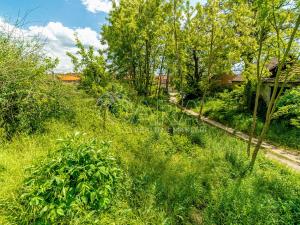 Prodej pozemku pro bydlení, Ledčice, 3164 m2