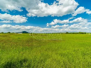Prodej pozemku pro bydlení, Ledčice, 3164 m2