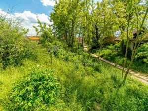 Prodej pozemku pro bydlení, Ledčice, 3164 m2