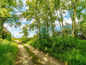 Prodej pozemku pro bydlení, Ledčice, 3164 m2