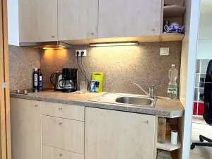Pronájem bytu 1+kk, Brno, Lidická, 25 m2