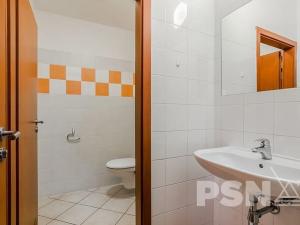 Pronájem kanceláře, Praha - Hloubětín, Nademlejnská, 32 m2