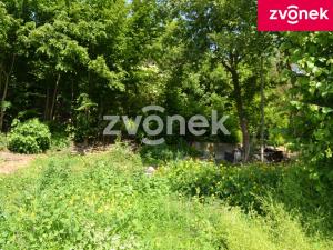 Prodej pozemku pro bydlení, Vsetín, 4066 m2