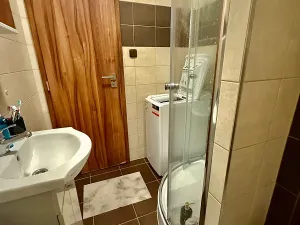 Pronájem bytu 1+1, Plzeň, Na Dlouhých, 37 m2