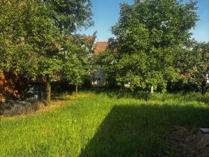 Prodej rodinného domu, Velké Němčice, 120 m2