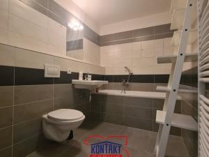 Pronájem bytu 2+kk, České Budějovice, B. Smetany, 49 m2