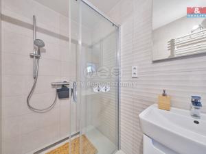 Prodej bytu 2+kk, Černý Důl, 42 m2