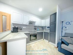 Pronájem bytu 2+kk, Znojmo, Velká Mikulášská, 52 m2