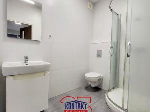 Pronájem bytu 1+kk, České Budějovice, Hradební, 24 m2