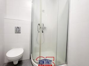 Pronájem bytu 1+kk, České Budějovice, Hradební, 24 m2