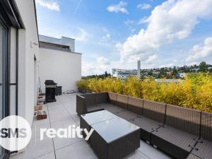 Pronájem bytu 3+1, Brno, Vinařská, 165 m2