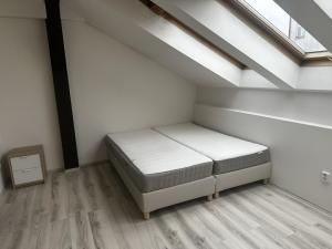 Pronájem bytu 2+kk, Praha - Vinohrady, Rumunská, 62 m2