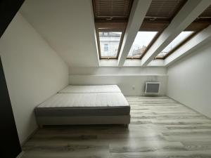 Pronájem bytu 2+kk, Praha - Vinohrady, Rumunská, 62 m2