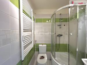 Pronájem bytu 1+1, Lom - Loučná, Novostavby, 30 m2