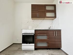 Pronájem bytu 1+1, Lom - Loučná, Novostavby, 30 m2