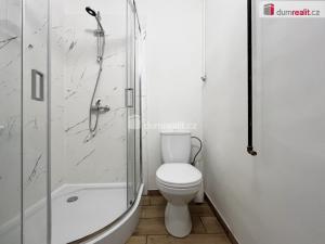 Pronájem bytu 1+1, Lom - Loučná, Novostavby, 30 m2