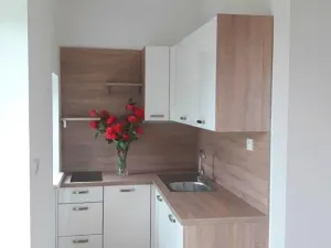 Pronájem bytu 1+kk, Praha - Kyje, Stružky, 36 m2