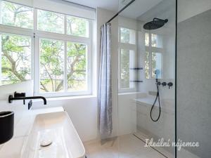 Pronájem bytu 2+kk, Praha, Světova, 75 m2