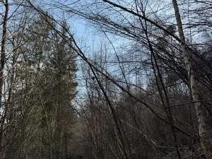 Prodej pozemku, Louňovice pod Blaníkem, 23891 m2