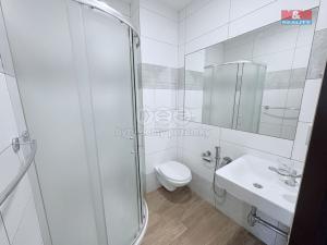 Pronájem bytu 1+kk, Pardubice - Semtín, 28 m2