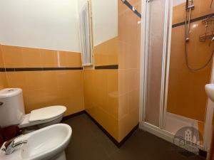 Pronájem bytu 1+kk, Praha - Žižkov, Cimburkova, 26 m2