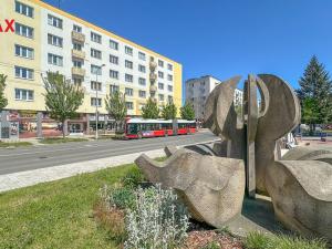 Prodej bytu 3+1, Hradec Králové - Slezské Předměstí, třída SNP, 73 m2