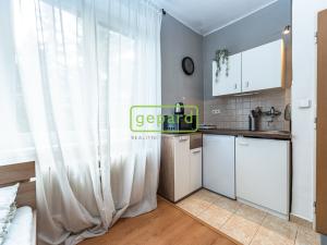 Pronájem bytu 1+kk, Praha, U kombinátu, 19 m2