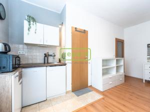 Pronájem bytu 1+kk, Praha, U kombinátu, 19 m2
