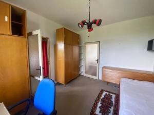 Prodej bytu 2+1, Praha - Žižkov, Pod lipami, 54 m2