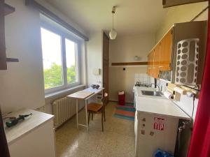 Prodej bytu 2+1, Praha - Žižkov, Pod lipami, 54 m2